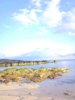 f0198010_21281171.jpg