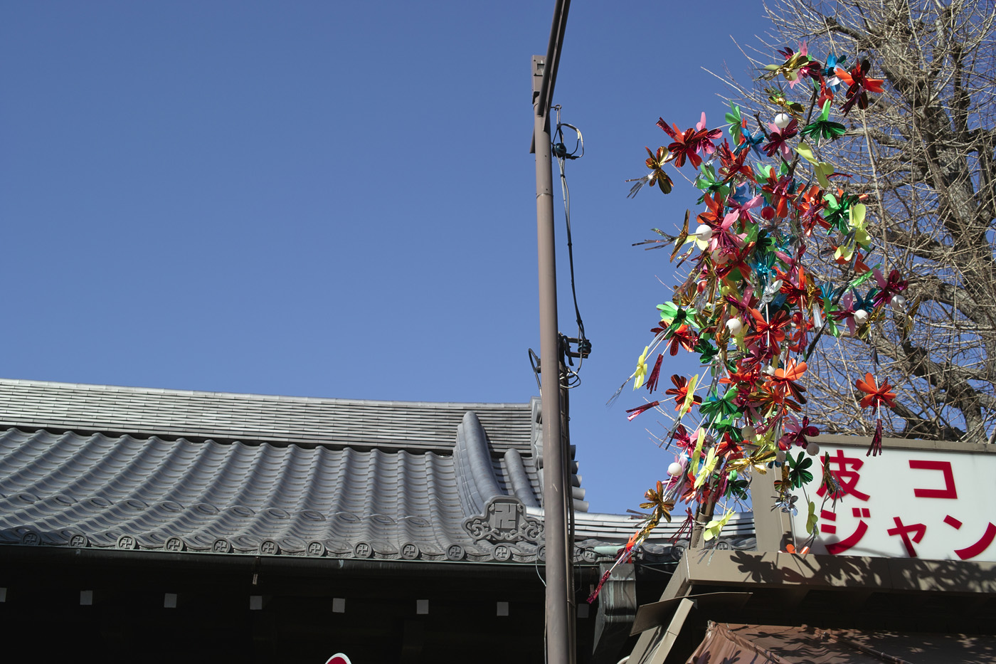 c0213117_251122.jpg