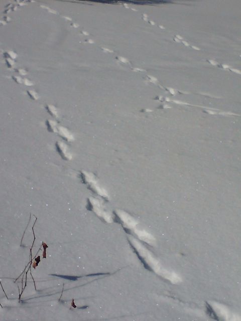 f0209618_2253025.jpg