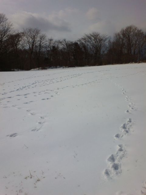 f0209618_2255634.jpg