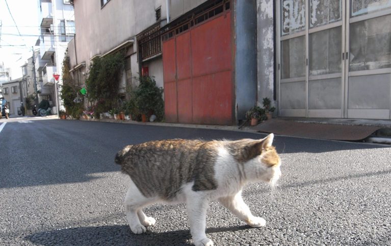 きみの名は_c0160822_16251347.jpg