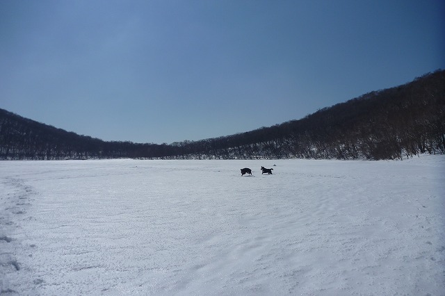 小沼へ雪遊び！！！_e0203322_23383376.jpg