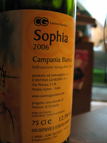 Sophia [2006] Cantina Giardino_c0153426_1391771.jpg