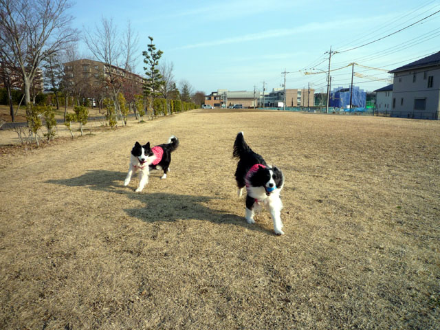 d0059230_8407.jpg