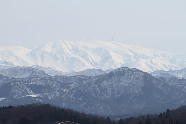 f0108553_2019270.jpg