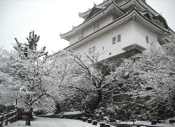 　　和歌山市にも雪が！_b0093754_23445810.jpg