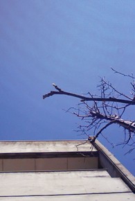2月22日岐阜県知事宛要請行動_f0197754_23554534.jpg