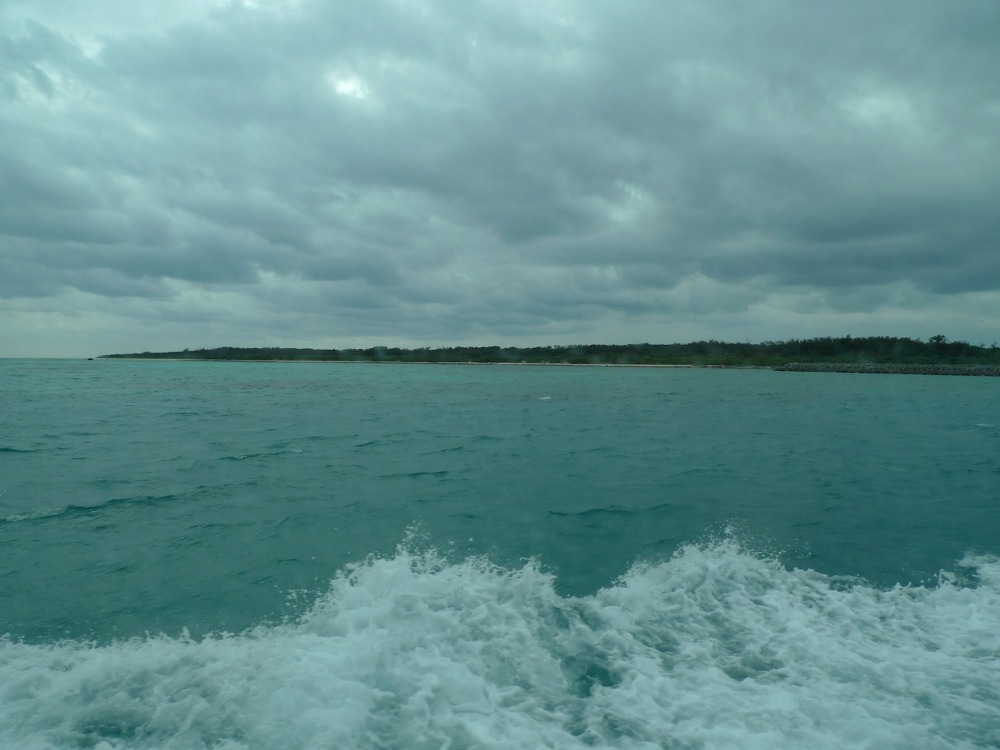 c0004059_11984.jpg