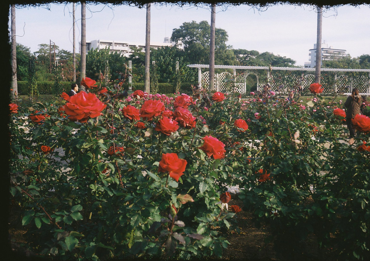 f0209159_16385134.jpg