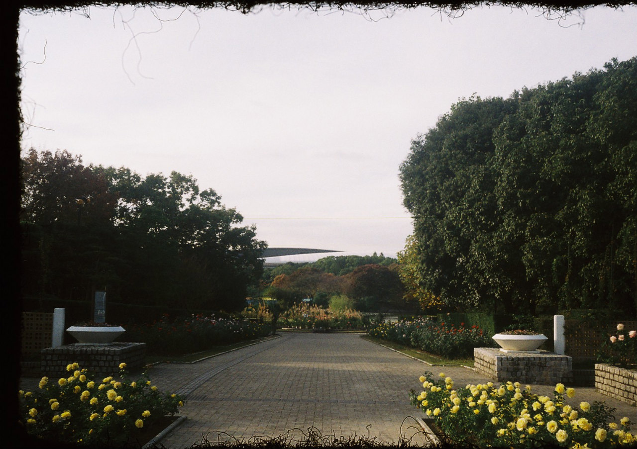 f0209159_16415967.jpg