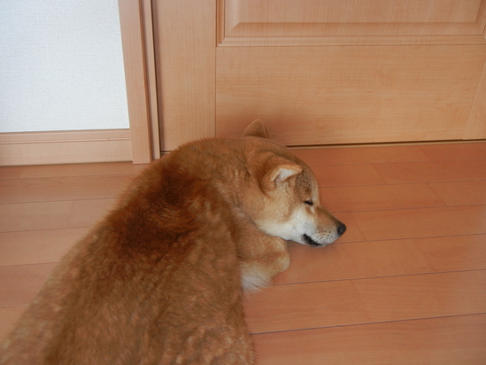 2月22日(火)遼くんのつらいけど、嬉しかった日!_f0060461_2114757.jpg