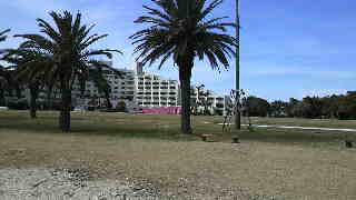 a0199672_10452823.jpg
