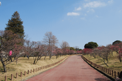 昨日もあったかかったですね・・・_f0152875_1536059.gif