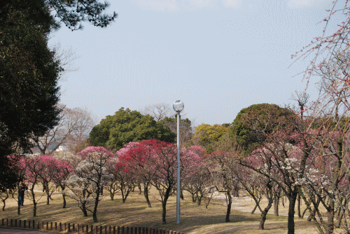 昨日もあったかかったですね・・・_f0152875_15361913.gif