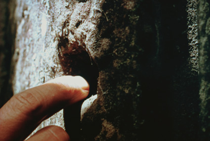 e0163776_2124645.jpg