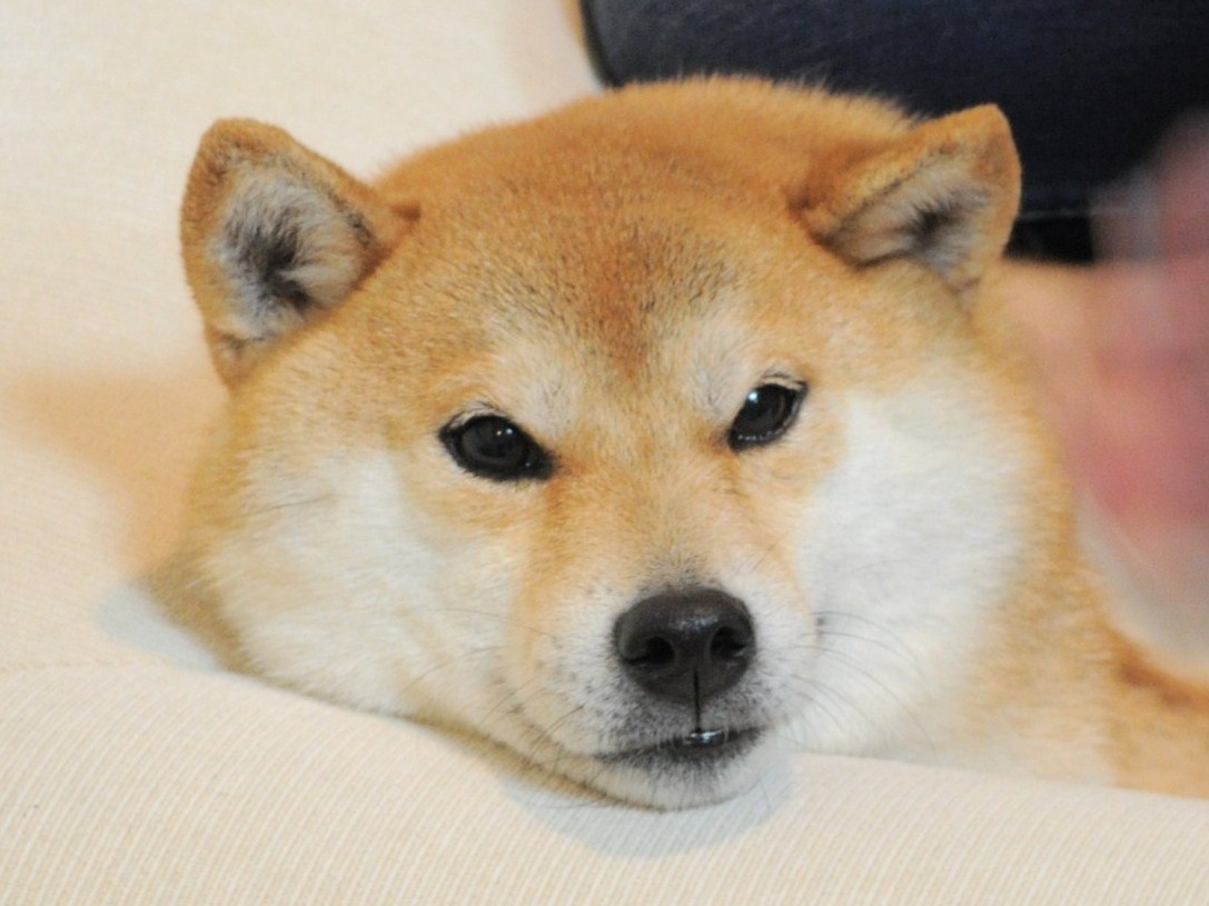 きれいになった!_a0126590_2351079.jpg