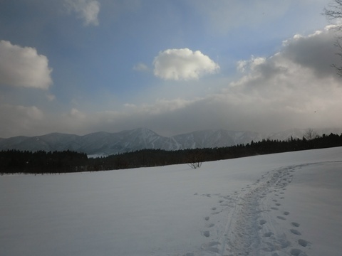 雪原を歩く_a0138198_11265076.jpg