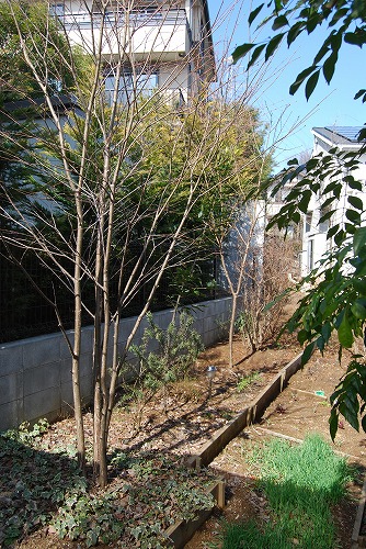 c0124100_12345424.jpg