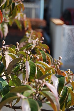c0124100_12371949.jpg