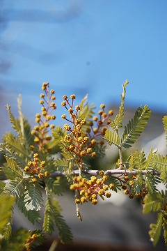 c0124100_12374344.jpg