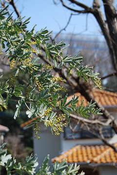 c0124100_12375450.jpg