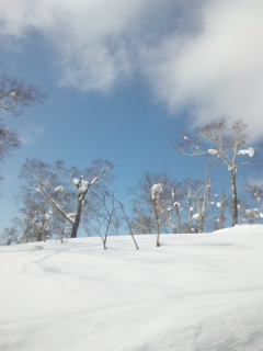 a0149502_12595932.jpg