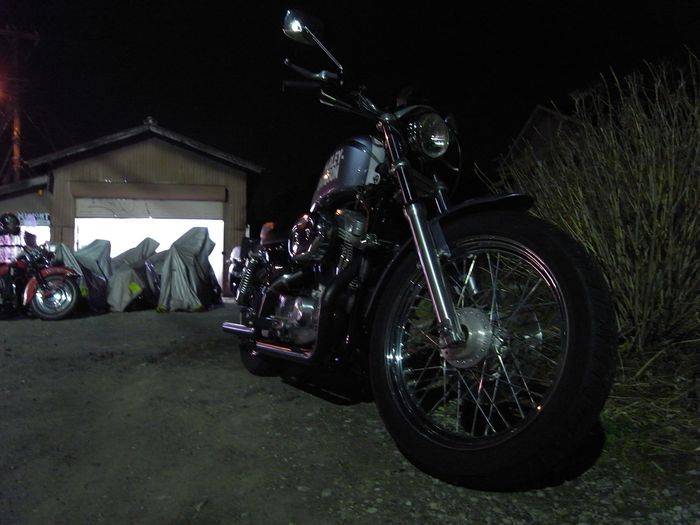 PANHEAD  SPORTSTER_a0186803_8483454.jpg