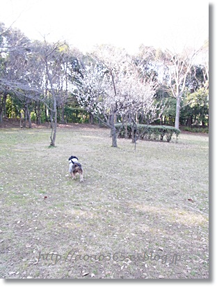 f0203406_9494388.jpg