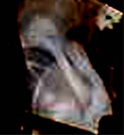 e0103408_14344364.jpg