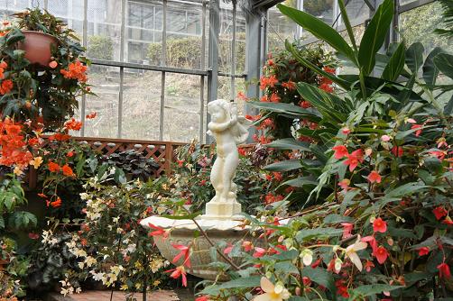 箱根ベゴニア園 オートクチュールの旅日記 箱根ベゴニア園 オートクチュールの旅日記