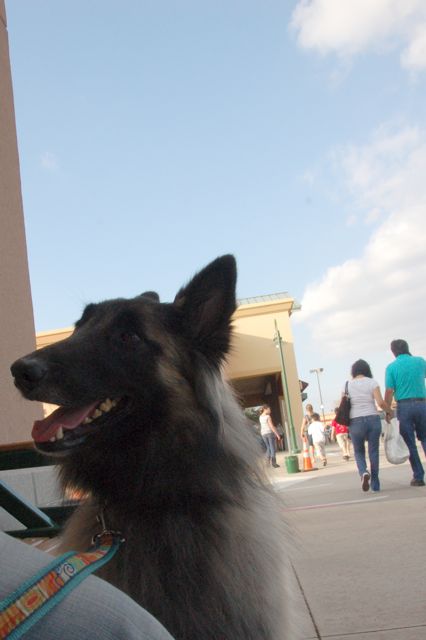 f0227709_08879.jpg