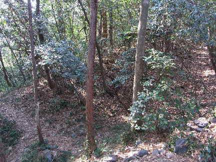 c0051112_2028178.jpg