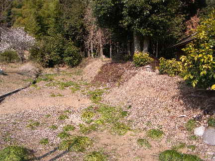 c0051112_2029677.jpg