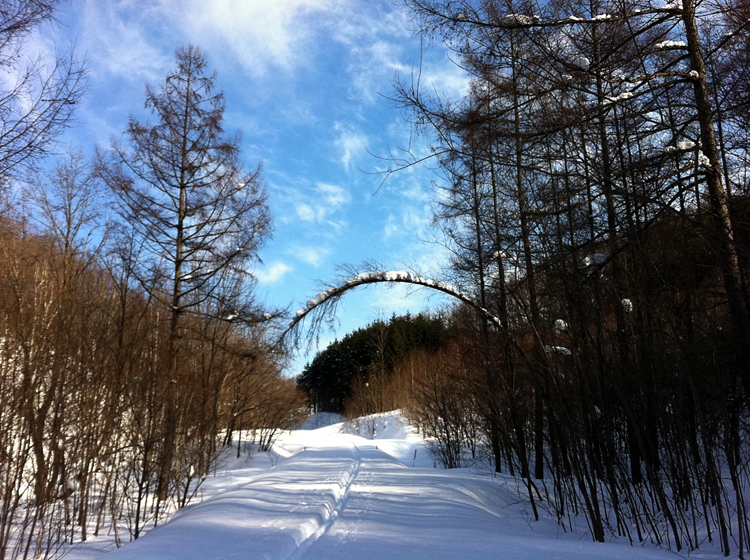 隠れた魅力_c0033513_22155419.jpg