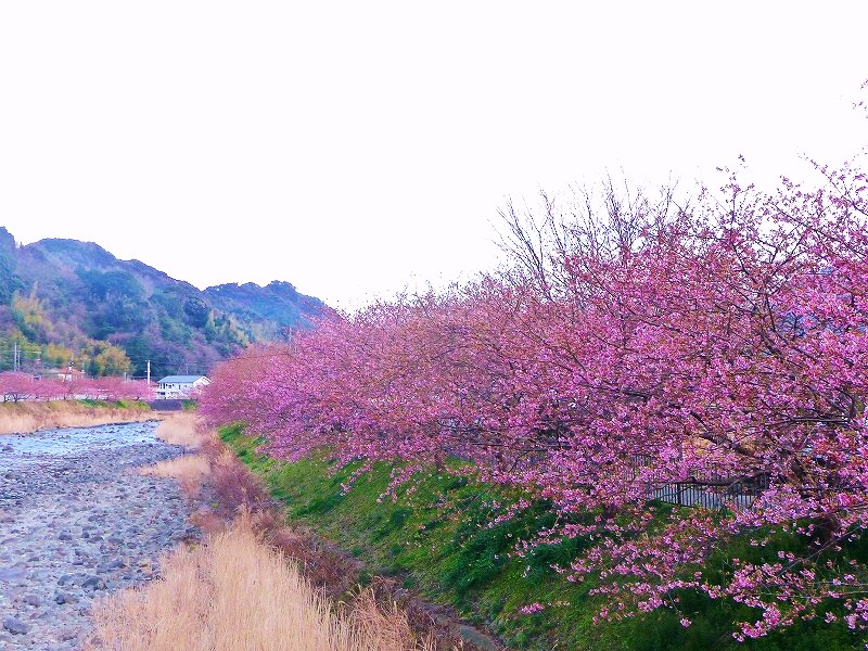 f0182513_92280.jpg
