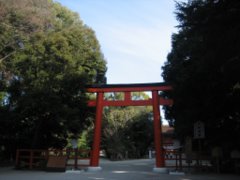 2011年　京都　梅春　～下鴨神社 to 鴨川～_d0149223_14495284.jpg