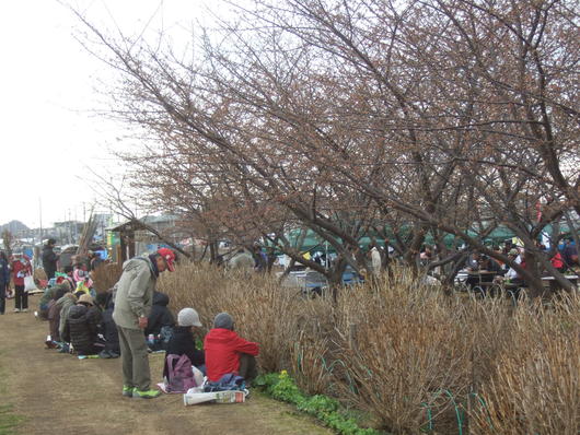 桜祭り.....寒い中震えながら!_b0137932_2011457.jpg