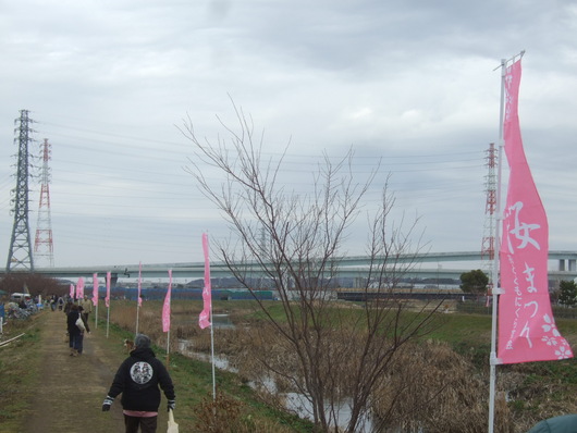 桜祭り.....寒い中震えながら!_b0137932_2092976.jpg