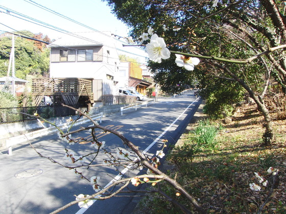 e0222340_10521145.jpg