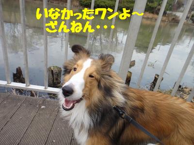 ゆずが、おむすびころりん?_e0195743_1531998.jpg