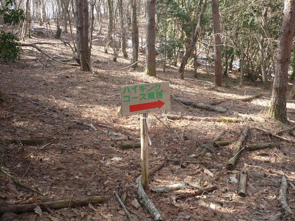 f0090444_22535288.jpg