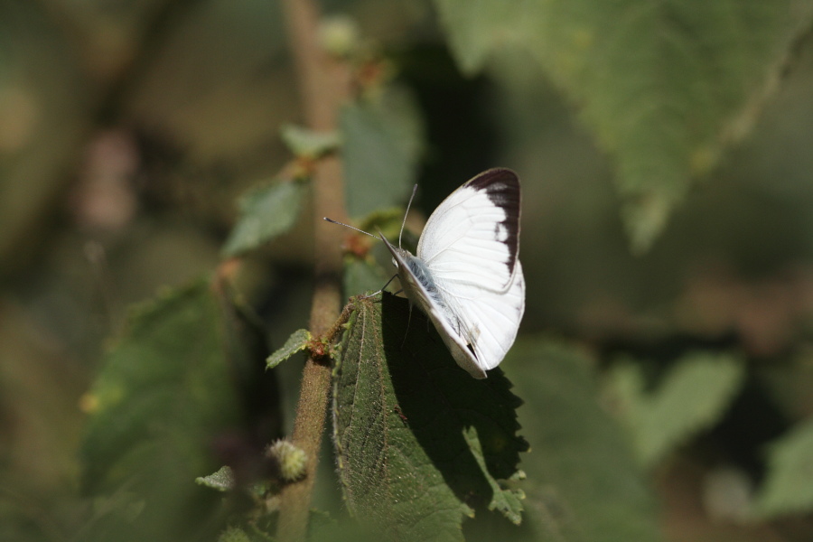 a0094850_1427986.jpg