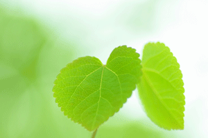 b0046050_17363720.gif