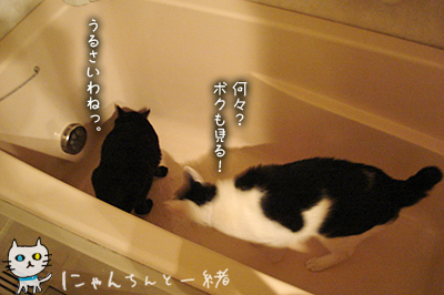 いたずら探検隊に弟子入り、、、_e0031853_052433.jpg