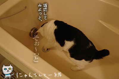 いたずら探検隊に弟子入り、、、_e0031853_0533775.jpg