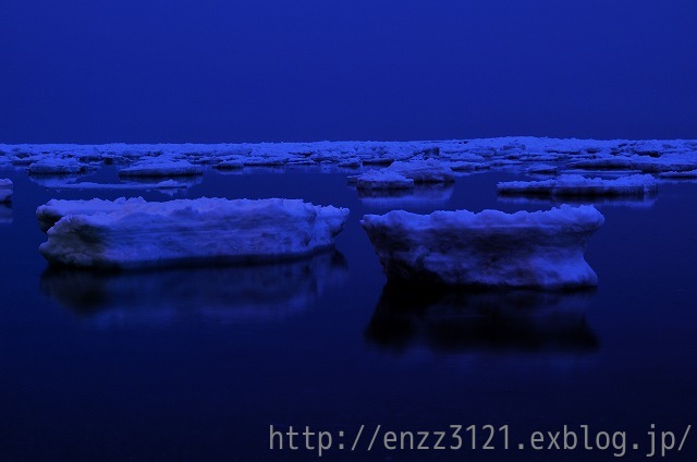 「蒼き流氷の海で・・・」2月23日今日のショット_d0019260_262891.jpg