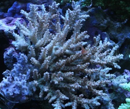 a0162261_2003477.jpg