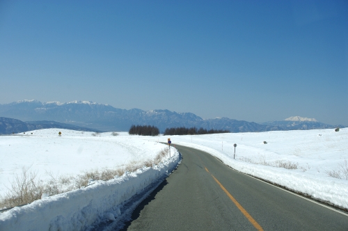 車山高原～霧ヶ峰ドライブ　と、ブリしゃぶ_c0110869_22144077.jpg