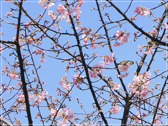 b0192470_20122138.jpg