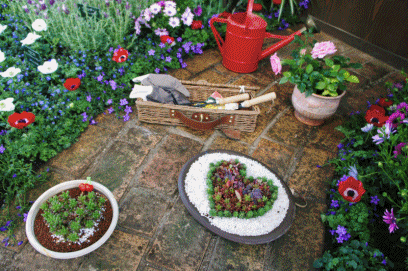 b0192470_2085116.gif